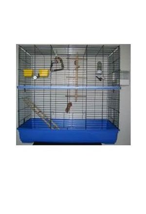 Aviary for large parakeets 120x60x124 - Action -