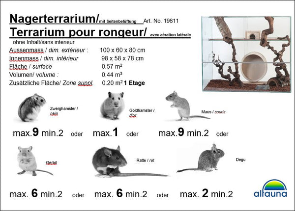 Terrarium pour rongeurs avec aération latérale, avec un étage