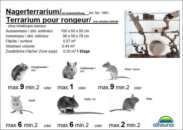 Terrarium pour rongeurs avec un étage