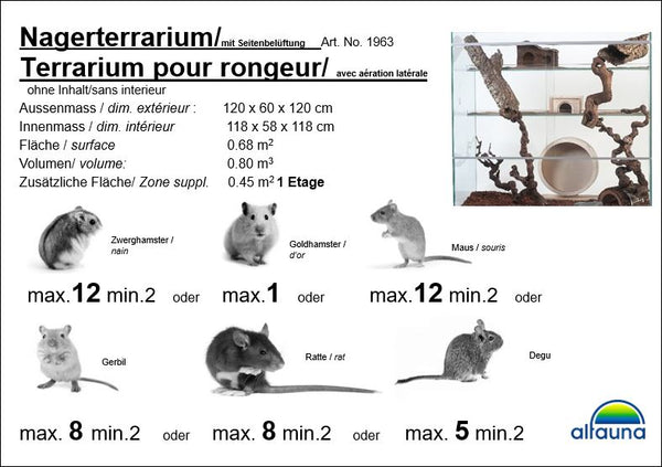 Terrarium pour rongeurs avec deux étages