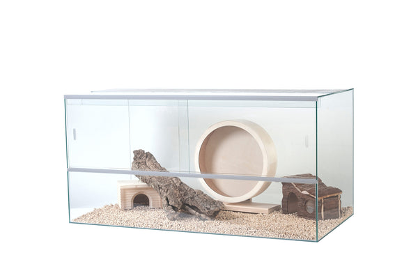 Terrarium for rodents