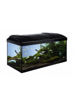 Kit aquarium Start Up / droit