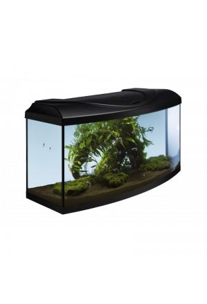 Start-Up-Aquarium-Set / gebogen