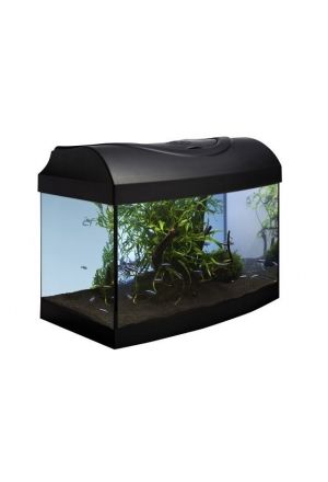 Start-Up-Aquarium-Set / gebogen