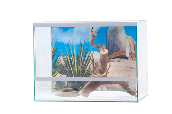 Terrarium with sliding door