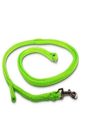 Dino dog leash Poly. m. Easy-Locking-System, neon green