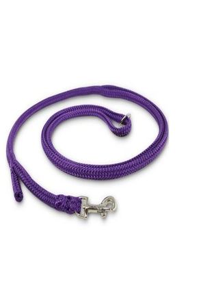 Laisse pour chien Dino Poly. m. Easy-Locking-System, violet