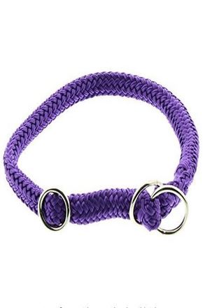 Collier/étrangleur Dino Poly., violet