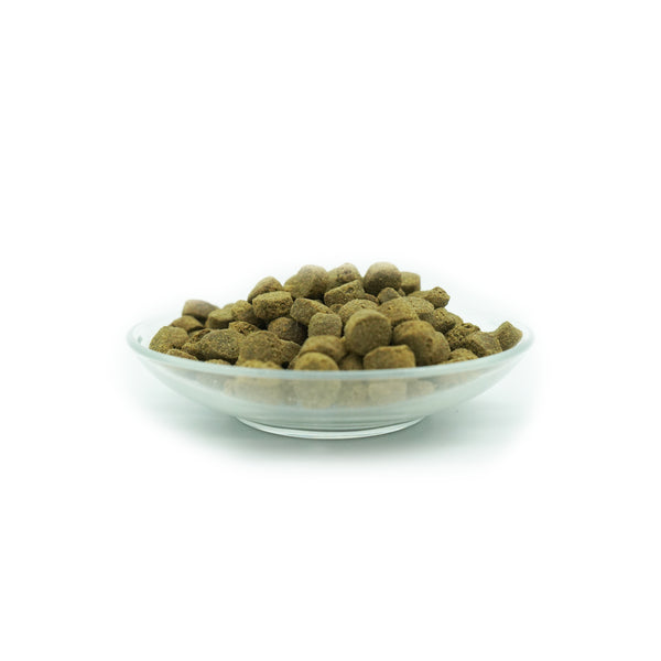 Freiland-Schmaus - Outdoor Chicken Bites for Medium Dogs