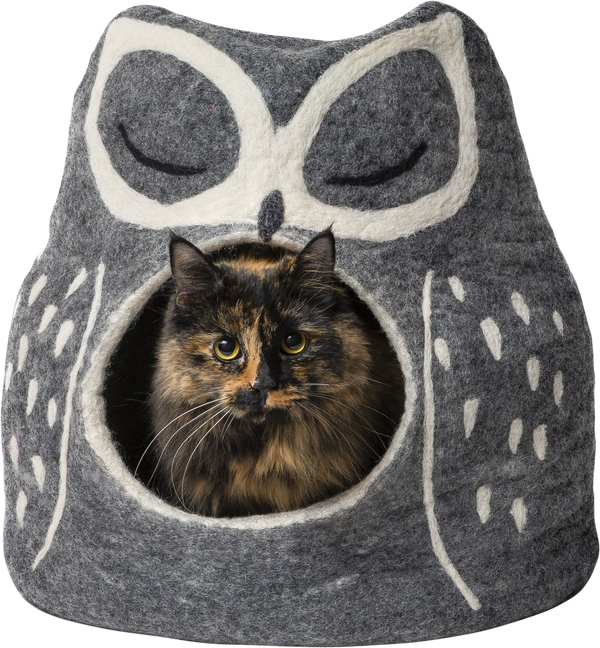 DDKC Owl Cave, gray