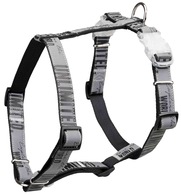 Explore H harness with flasher buckle, reflective black