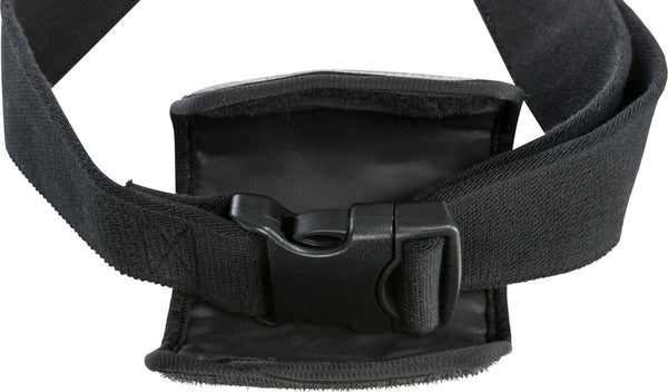 Laisse Hands Free, avec ceinture ventrale, nylon, noir