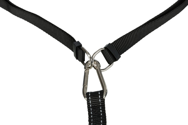 Belly belt with leash, wide, neoprene padded, black/grey