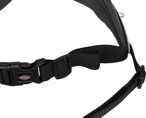 Belly belt with leash, wide, neoprene padded, black/grey