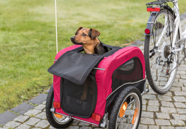 Remorque pour vélo, noir/rouge