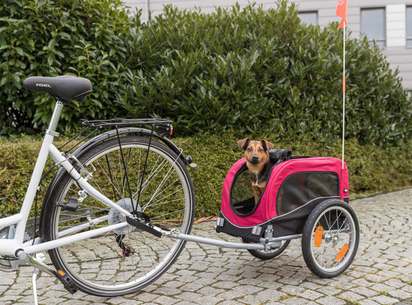 Fahrradanhänger, schwarz/rot