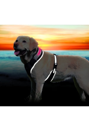 "Flash" soft harness