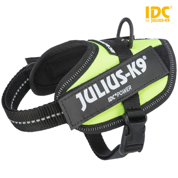 Julius-K9 IDC harness, baby