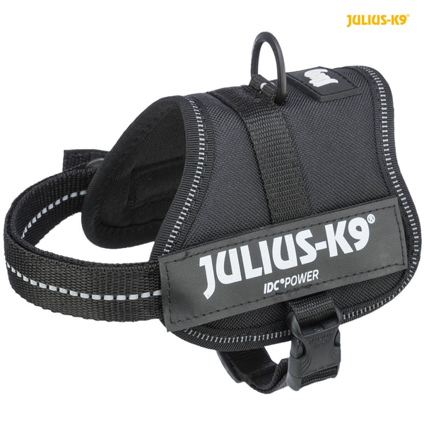 Julius-K9 Power-Kabelbaum, schwarz