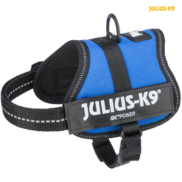 Julius-K9 Power Harness, Blue