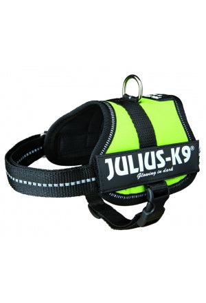 Julius-K9 Power-Geschirr, Baby-Limonengrün