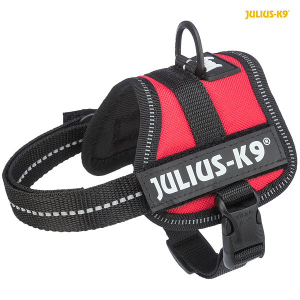 Julius-K9 Powergeschirr, babyrot