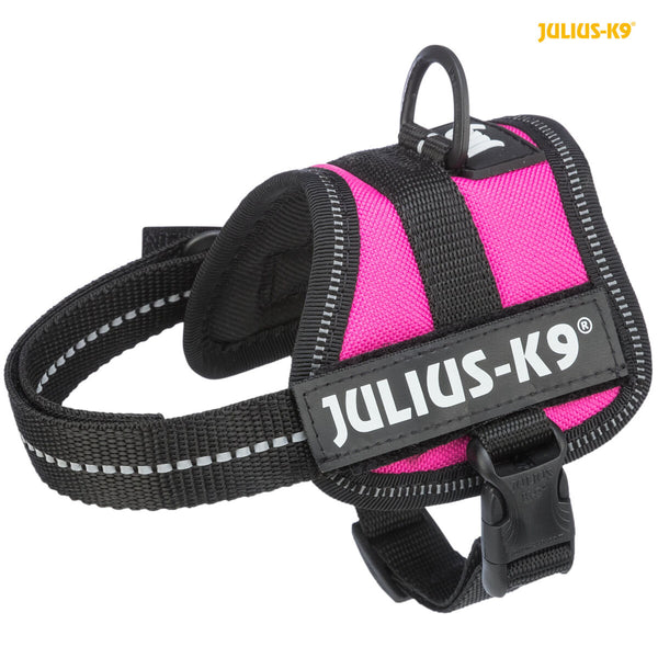 Julius-K9 Power Harness, Baby Fuchsia