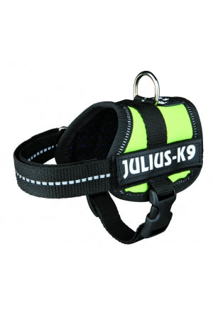 Julius-K9 Power Harness, Baby Lime Green