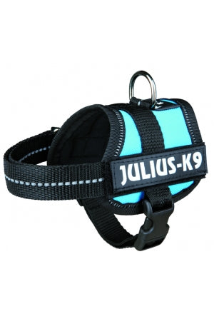 Julius-K9 power harness, baby aquam.