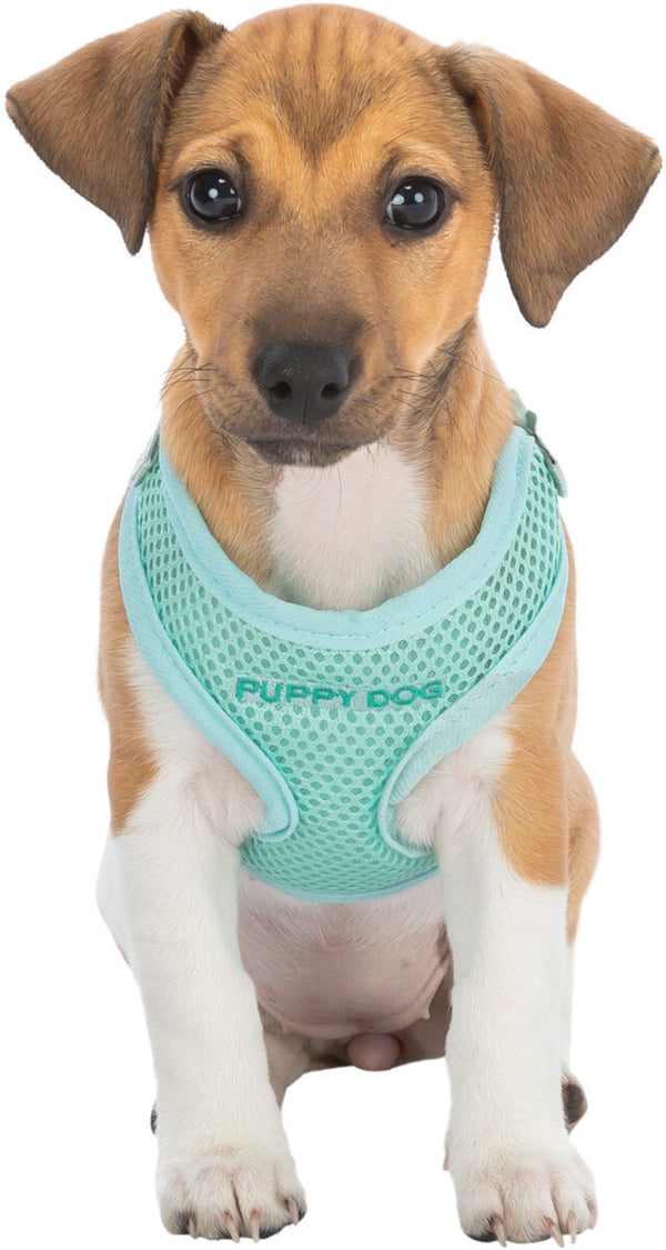 Junior Soft Puppy Harness with Leash Light Grey