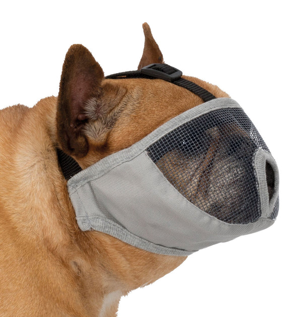 Muzzle for short-nosed breeds