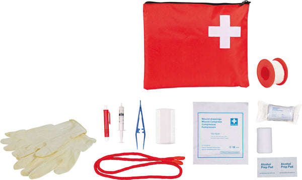 First aid kit for dogs and cats