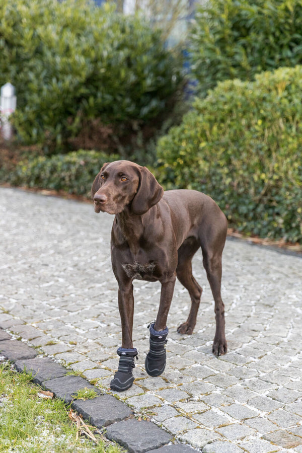 Walker Active Long Pfotenschutz, schwarz