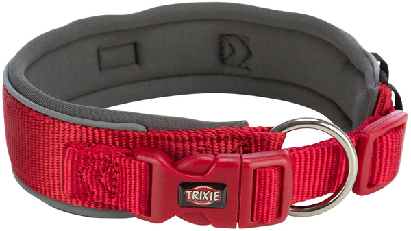 Premium collar, extra large, red/gray