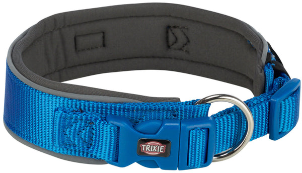 Collier Premium, extra large, bleu royal/graphite