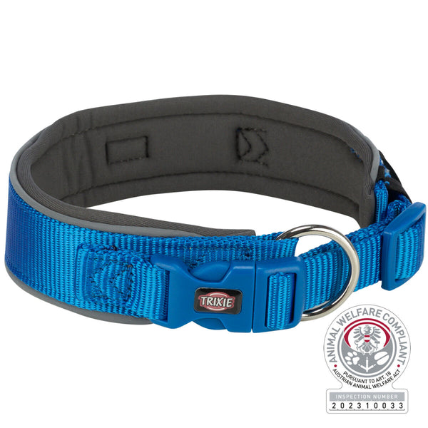 Premium collar, extra large, royal blue/graphite