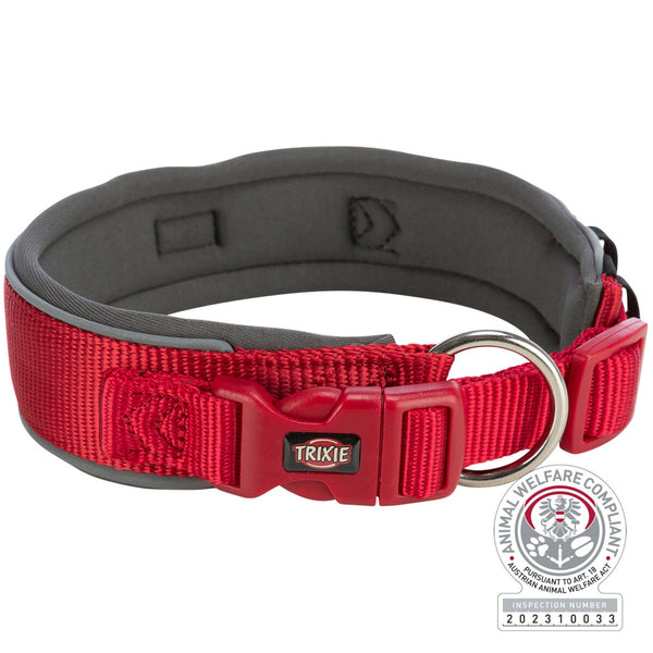 Premium collar, extra large, red/gray