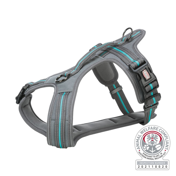 Fusion Hiking Harness, Graphite/Ocean