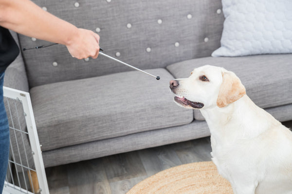 Target Stick mit integriertem Clicker