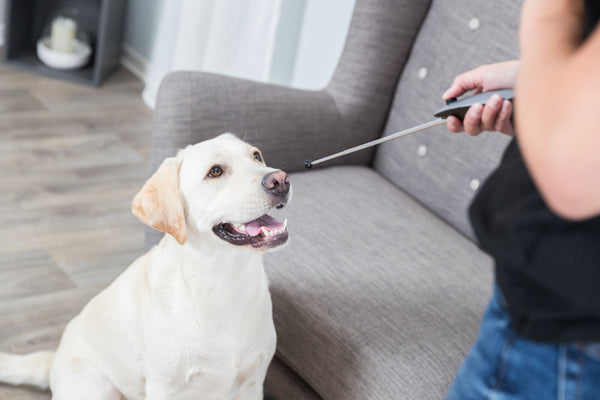 Target Stick mit integriertem Clicker