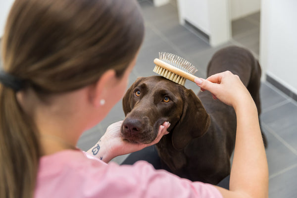 Brosse, deux côtés, bambou, poils naturels > métalliques