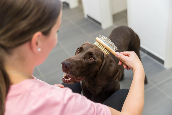 Brush, two-sided, bamboo, natural bristles &gt; metal