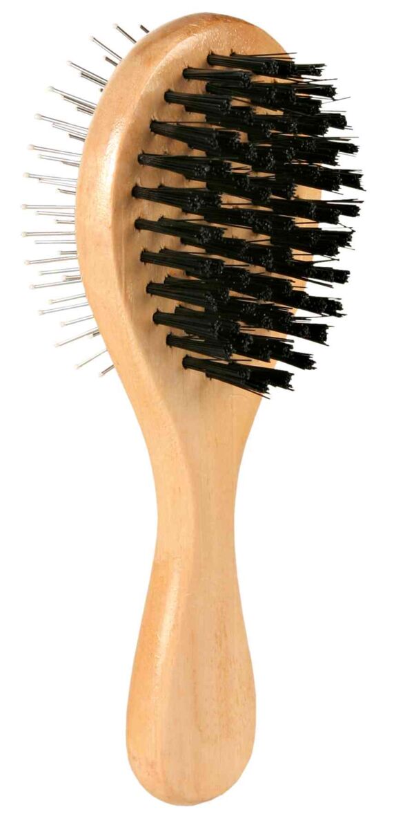 Brosse, bois, deux faces