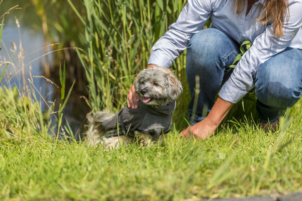 Bademantel für Hunde