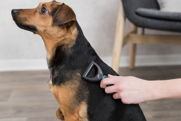 Universal comb for small dogs