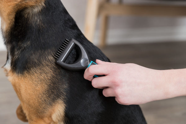 Universal comb for small dogs