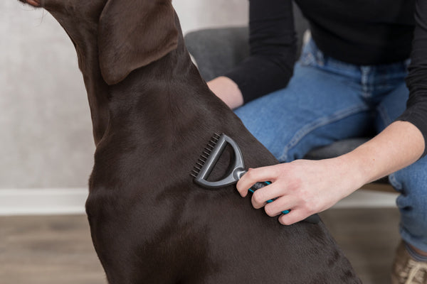 Universal comb for dogs