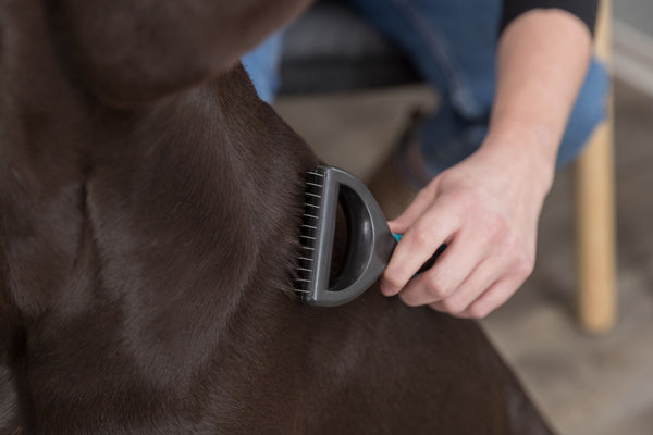 Universal comb for dogs