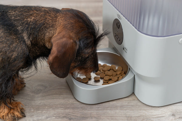 TX-C Smart 5.0l Automatic Food Dispenser, Light Grey