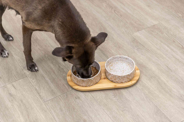 Bowl set, ceramic/bamboo, white/light brown